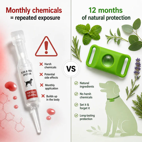 Natural Flea & Tick Pendant for Dogs