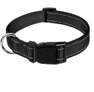 FREE Reflective Nylon Collar