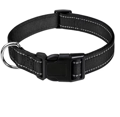 FREE Reflective Nylon Collar