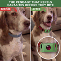 Natural Flea & Tick Pendant for Dogs