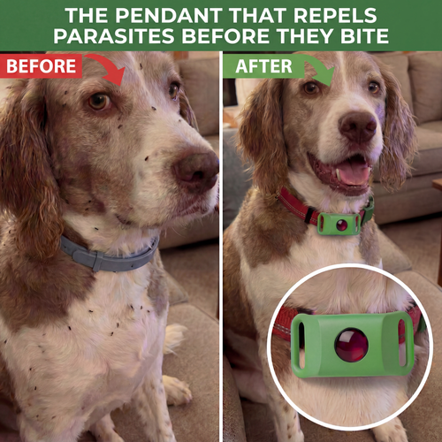 Natural Flea & Tick Pendant for Dogs